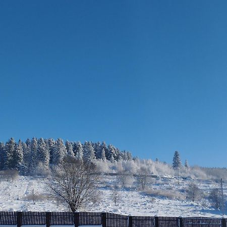 Ferienwohnung Перлина Карпат Skhidnytsia Exterior foto
